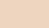 bronze sponsor